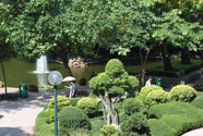 IMG_1932.jpeg