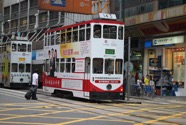IMG_2041.jpeg