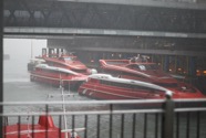 IMG_2064.jpeg