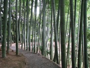 japon 2009 300,Kyoto,temple Kodai-ji.jpeg