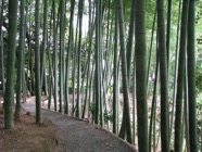 japon 2009 300,Kyoto,temple Kodai-ji.jpeg