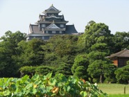 japon 2010 072,Okayama, jardin Koraku-en.jpeg