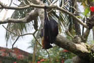 Ubud - 37.jpeg