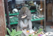 Ubud - 40.jpeg