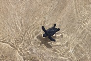 beach - 19.jpeg