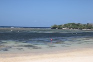 beach - 51.jpeg