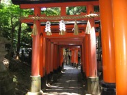 IMG_1007.jpeg