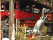 IMG_1008.jpeg
