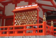 IMG_3524.jpeg