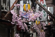 IMG_3815.jpeg