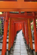 IMG_4046.jpeg