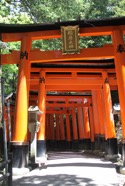 IMG_4307.jpeg