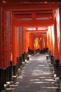 IMG_4356.jpeg