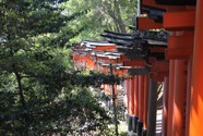 IMG_4362.jpeg