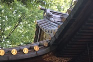IMG_5551.jpeg