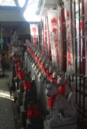 IMG_5570.jpeg