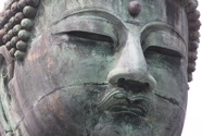IMG_6080.jpeg