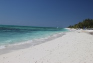 Les Bahamas - 10.jpeg