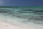 Les Bahamas - 22.jpeg