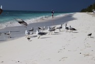 Les Bahamas - 34.jpeg