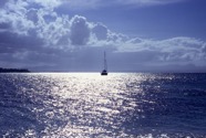 Guadeloupe - 23.jpeg