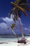 Guadeloupe - 25.jpeg