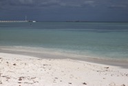 IMG_5444.jpeg