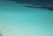 IMG_5583.jpeg
