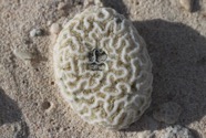 IMG_5645.jpeg