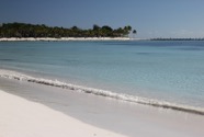 IMG_5708.jpeg