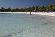 IMG_5721.jpeg