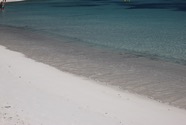 IMG_5737.jpeg