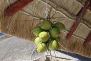 IMG_5743.jpeg