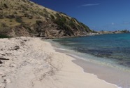 IMG_2618.jpeg