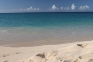 IMG_2667.jpeg