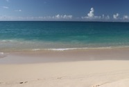 IMG_2674.jpeg