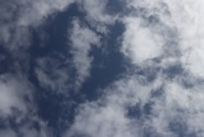 IMG_2753.jpeg
