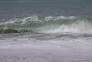IMG_2847.jpeg