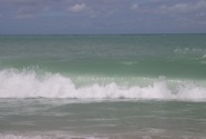 IMG_2851.jpeg