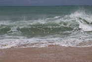 IMG_2856.jpeg