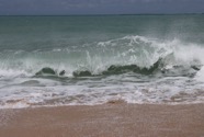 IMG_2857.jpeg