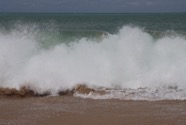 IMG_2863.jpeg