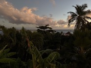 IMG_4131.jpeg