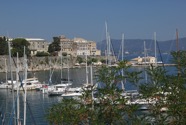 IMG_1013.jpeg