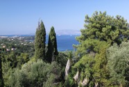 IMG_1206.jpeg
