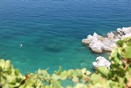 IMG_1291.jpeg