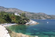 IMG_1306.jpeg
