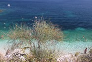 IMG_1308.jpeg