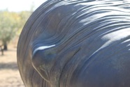 IMG_4696.jpeg