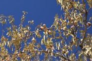 IMG_4706.jpeg